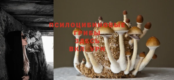 mix Бородино